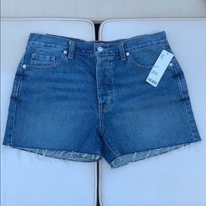 Urban Outfitters BDG Denim Shorts